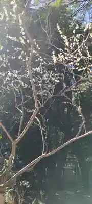 垂水神社(大阪府)