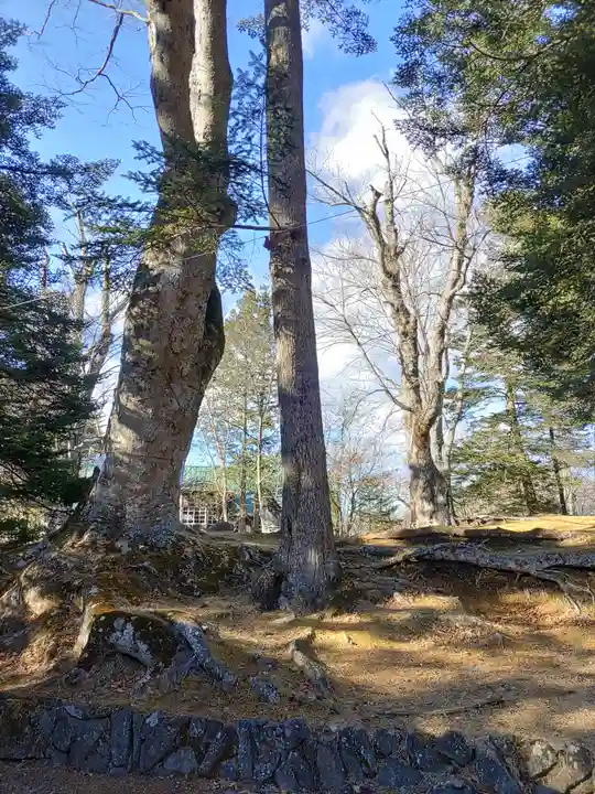 諏訪神社の自然