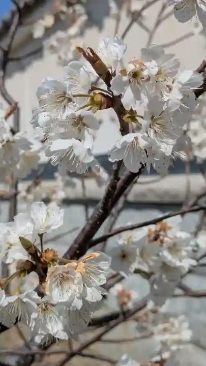 玉田神社(京都府)