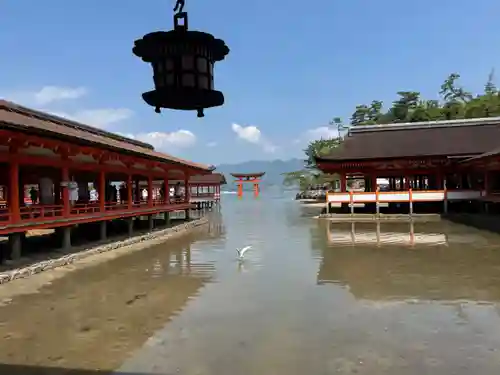 厳島神社(広島県)