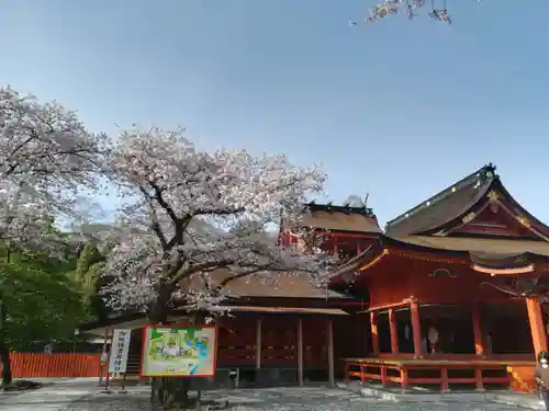 富士山本宮浅間大社の御朱印