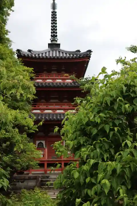 三室戸寺(京都府)