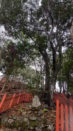 安行山 磐榮稲荷宮(京都府)