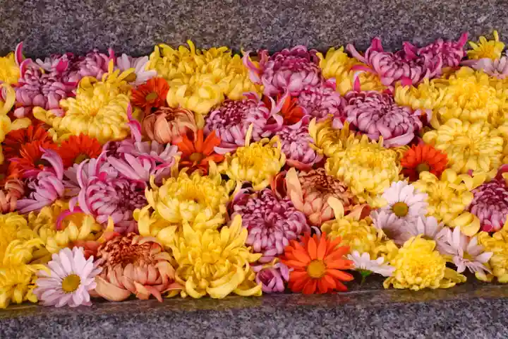 射水神社の手水舎