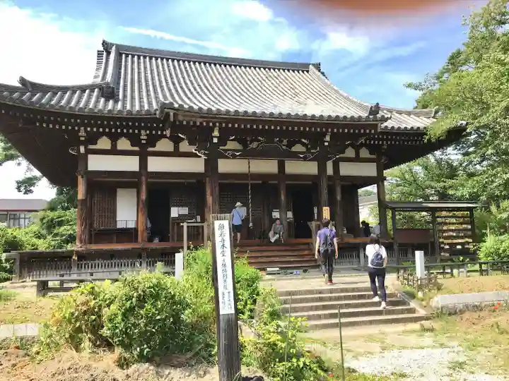 般若寺 ❁コスモス寺❁(奈良県)