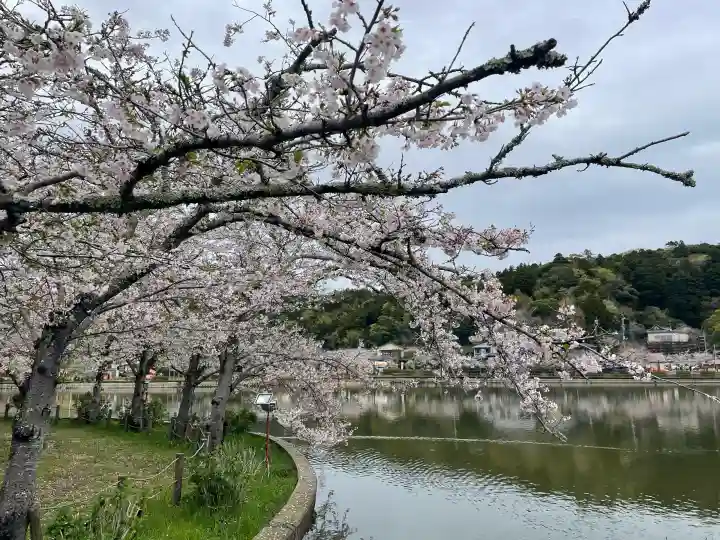 厳島神社 谷弁財天の{uncategorized: "未分類", other: "その他", undefined: "問題あり", building: "その他建物", grave: "お墓", sacred_gate: "鳥居", guardian: "狛犬", statue: "像", buddha: "仏像", history: "歴史", nature: "自然", garden: "庭園", animal: "動物", pagoda: "塔", temizu: "手水舎", mountain_gate: "山門・神門", sanctuary: "本殿・本堂", subordinate: "末社・摂社", art: "芸術", scenery: "景色", jizo: "地蔵", ema: "絵馬", goshuin: "御朱印", omikuji: "おみくじ", items: "授与品その他", amulet: "お守り", goshuincho: "御朱印帳", eats: "食事", festival: "お祭り", votive_dance: "神楽", shichigosan: "七五三参", wedding: "結婚式", experience: "体験その他", initially: "初詣", around: "周辺", anti_infection: "感染症対策"}