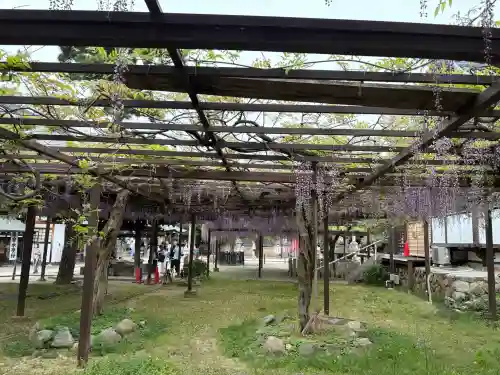 葛井寺の{uncategorized: "未分類", other: "その他", undefined: "問題あり", building: "その他建物", grave: "お墓", sacred_gate: "鳥居", guardian: "狛犬", statue: "像", buddha: "仏像", history: "歴史", nature: "自然", garden: "庭園", animal: "動物", pagoda: "塔", temizu: "手水舎", mountain_gate: "山門・神門", sanctuary: "本殿・本堂", subordinate: "末社・摂社", art: "芸術", scenery: "景色", jizo: "地蔵", ema: "絵馬", goshuin: "御朱印", omikuji: "おみくじ", items: "授与品その他", amulet: "お守り", goshuincho: "御朱印帳", eats: "食事", festival: "お祭り", votive_dance: "神楽", shichigosan: "七五三参", wedding: "結婚式", experience: "体験その他", initially: "初詣", around: "周辺", anti_infection: "感染症対策"}