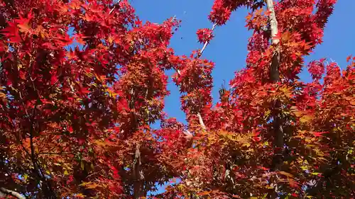 寿量山　速成寺の自然