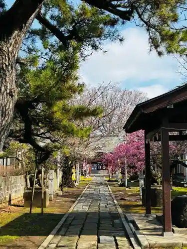 菅原神社の{uncategorized: "未分類", other: "その他", undefined: "問題あり", building: "その他建物", grave: "お墓", sacred_gate: "鳥居", guardian: "狛犬", statue: "像", buddha: "仏像", history: "歴史", nature: "自然", garden: "庭園", animal: "動物", pagoda: "塔", temizu: "手水舎", mountain_gate: "山門・神門", sanctuary: "本殿・本堂", subordinate: "末社・摂社", art: "芸術", scenery: "景色", jizo: "地蔵", ema: "絵馬", goshuin: "御朱印", omikuji: "おみくじ", items: "授与品その他", amulet: "お守り", goshuincho: "御朱印帳", eats: "食事", festival: "お祭り", votive_dance: "神楽", shichigosan: "七五三参", wedding: "結婚式", experience: "体験その他", initially: "初詣", around: "周辺", anti_infection: "感染症対策"}
