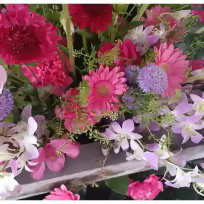 彌彦神社　(伊夜日子神社)の手水舎