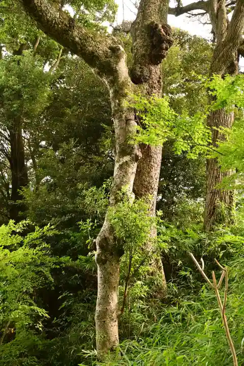 一畑薬師(島根県)