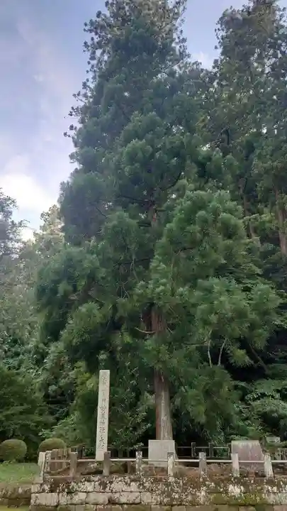 妙義神社(群馬県)