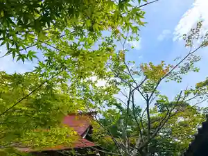 木舟山 順教寺(広島県)(2025年05月19日(月) 10時07分14秒投稿)