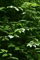 多聞寺 奥之院 灌頂院(徳島県)