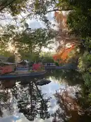 武蔵一宮氷川神社(埼玉県)