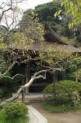 東慶寺のその他建物