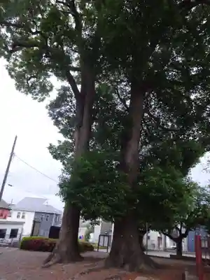 子之神神社の自然