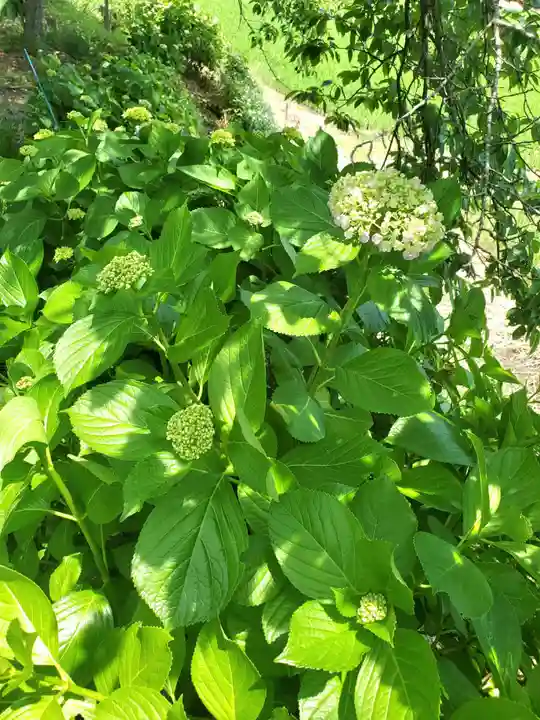 高司神社〜むすびの神の鎮まる社〜(福島県)