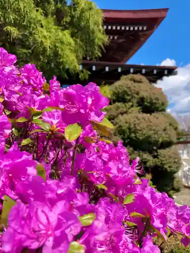 伊達神社の自然