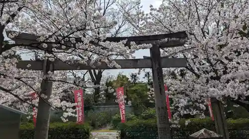 本法寺(京都府)