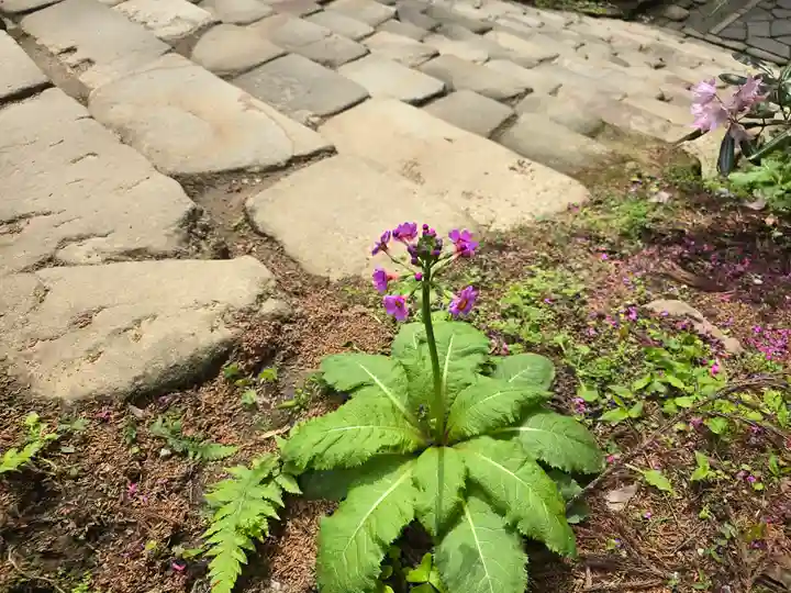 室生寺奥の院(奈良県)