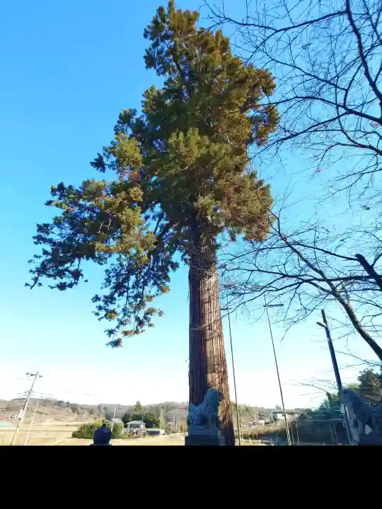 手白神社の{uncategorized: "未分類", other: "その他", undefined: "問題あり", building: "その他建物", grave: "お墓", sacred_gate: "鳥居", guardian: "狛犬", statue: "像", buddha: "仏像", history: "歴史", nature: "自然", garden: "庭園", animal: "動物", pagoda: "塔", temizu: "手水舎", mountain_gate: "山門・神門", sanctuary: "本殿・本堂", subordinate: "末社・摂社", art: "芸術", scenery: "景色", jizo: "地蔵", ema: "絵馬", goshuin: "御朱印", omikuji: "おみくじ", items: "授与品その他", amulet: "お守り", goshuincho: "御朱印帳", eats: "食事", festival: "お祭り", votive_dance: "神楽", shichigosan: "七五三参", wedding: "結婚式", experience: "体験その他", initially: "初詣", around: "周辺", anti_infection: "感染症対策"}