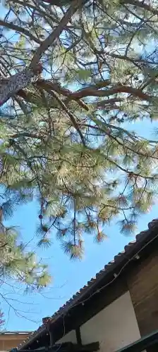 前原御嶽神社の{uncategorized: "未分類", other: "その他", undefined: "問題あり", building: "その他建物", grave: "お墓", sacred_gate: "鳥居", guardian: "狛犬", statue: "像", buddha: "仏像", history: "歴史", nature: "自然", garden: "庭園", animal: "動物", pagoda: "塔", temizu: "手水舎", mountain_gate: "山門・神門", sanctuary: "本殿・本堂", subordinate: "末社・摂社", art: "芸術", scenery: "景色", jizo: "地蔵", ema: "絵馬", goshuin: "御朱印", omikuji: "おみくじ", items: "授与品その他", amulet: "お守り", goshuincho: "御朱印帳", eats: "食事", festival: "お祭り", votive_dance: "神楽", shichigosan: "七五三参", wedding: "結婚式", experience: "体験その他", initially: "初詣", around: "周辺", anti_infection: "感染症対策"}