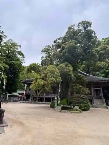 青岸渡寺の{uncategorized: "未分類", other: "その他", undefined: "問題あり", building: "その他建物", grave: "お墓", sacred_gate: "鳥居", guardian: "狛犬", statue: "像", buddha: "仏像", history: "歴史", nature: "自然", garden: "庭園", animal: "動物", pagoda: "塔", temizu: "手水舎", mountain_gate: "山門・神門", sanctuary: "本殿・本堂", subordinate: "末社・摂社", art: "芸術", scenery: "景色", jizo: "地蔵", ema: "絵馬", goshuin: "御朱印", omikuji: "おみくじ", items: "授与品その他", amulet: "お守り", goshuincho: "御朱印帳", eats: "食事", festival: "お祭り", votive_dance: "神楽", shichigosan: "七五三参", wedding: "結婚式", experience: "体験その他", initially: "初詣", around: "周辺", anti_infection: "感染症対策"}