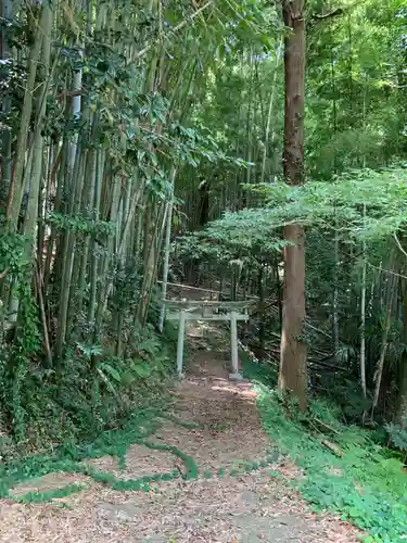 稲荷大明神の鳥居