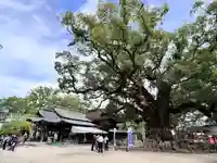 宇美八幡宮(福岡県)