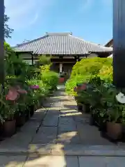 谷中 妙福寺(東京都)