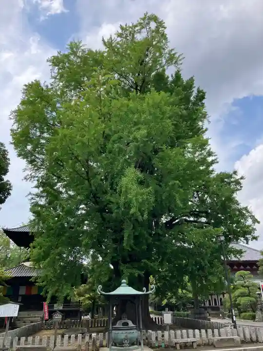 鑁阿寺(栃木県)