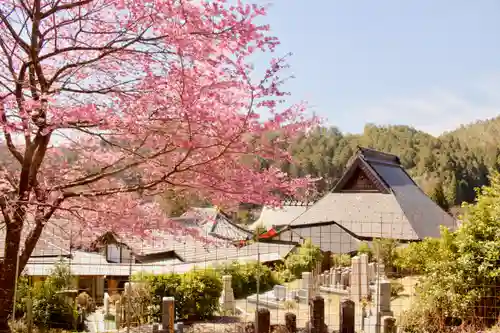 宝泉寺の景色