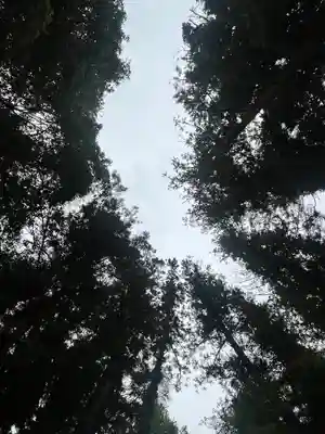 宝登山神社(埼玉県)