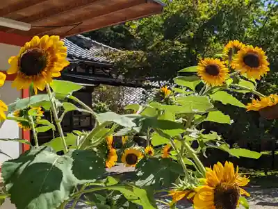 大原野神社(京都府)