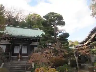遍照寺(神奈川県)