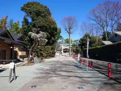 出雲大社相模分祠のその他建物