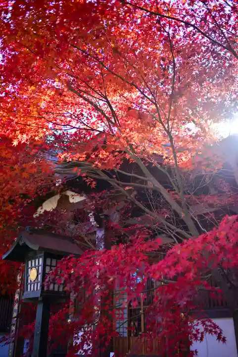 高幡不動尊 金剛寺(東京都)