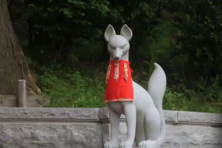 高屋敷稲荷神社の狛犬