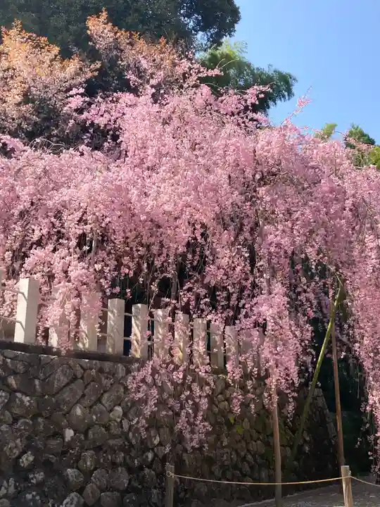 小川諏訪神社の自然