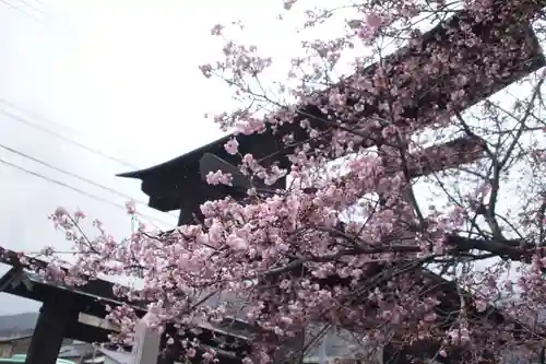 武田八幡宮(山梨県)