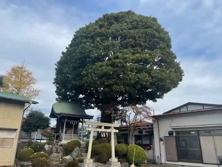 浅間神社 (久保)(神奈川県)