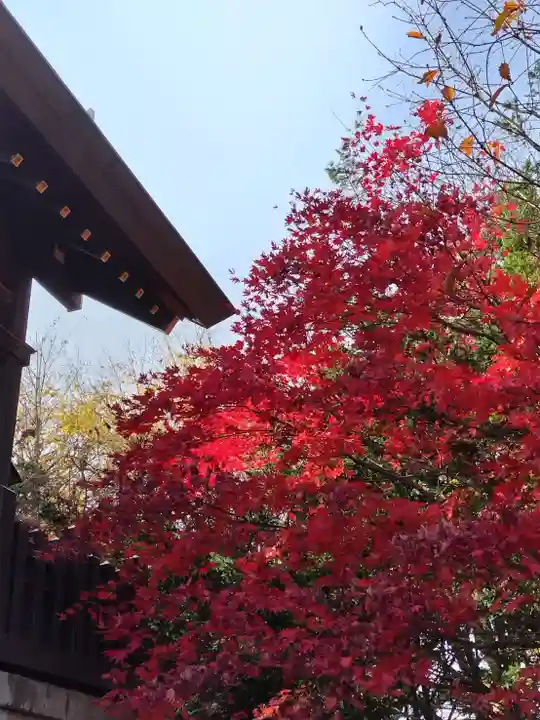 厚別神社(北海道)