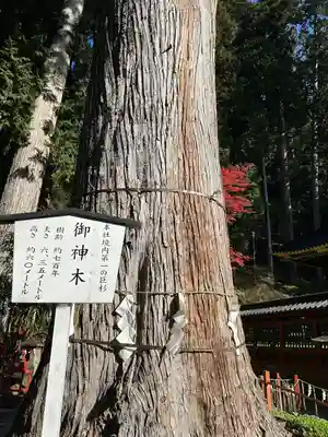 日光二荒山神社(栃木県)