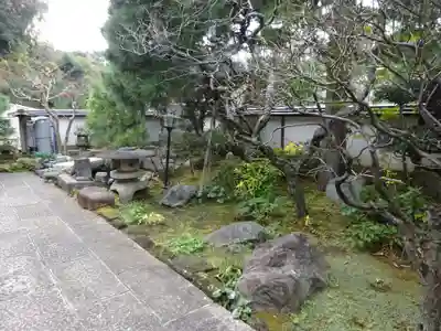 妙高院の庭園