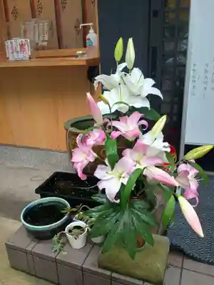 銀杏岡八幡神社(東京都)