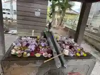 上野総社神社(群馬県)