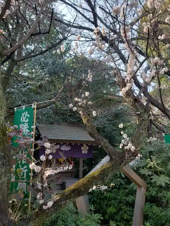 阿佐ヶ谷神明宮(東京都)