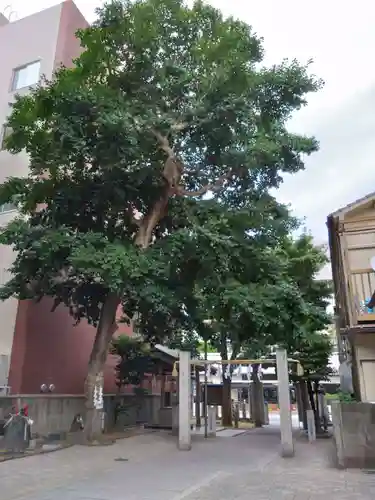 猿田彦神社(福岡県)