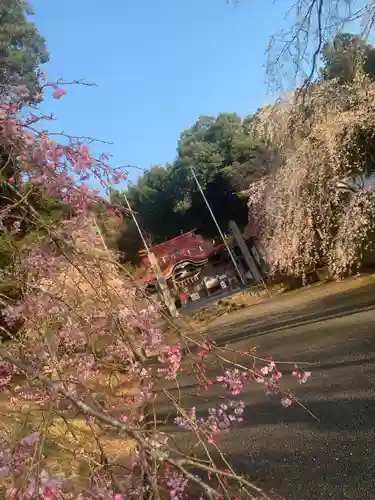 徳佐八幡宮の建物その他